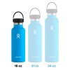 HYDRO FLASK 18 oz Standard...