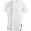 Tee-Shirt SALOMON S/LAB...