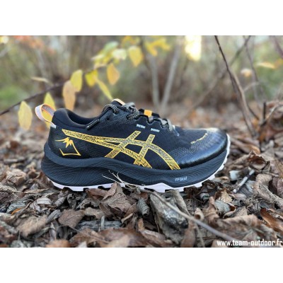 ASICS Gel Trabuco 12 GTX...